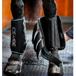 Guêtres Horseware Ice-Vibe Noir / aqua Bleu Guêtres Horseware Ice-Vibe Noir / aqua Bleu