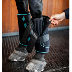 Guêtres Horseware Ice-Vibe Noir / aqua Bleu Guêtres Horseware Ice-Vibe Noir / aqua Bleu