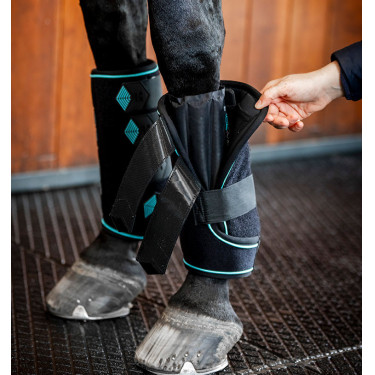 Guêtres Horseware Ice-Vibe Noir / aqua Bleu Guêtres Horseware Ice-Vibe Noir / aqua Bleu