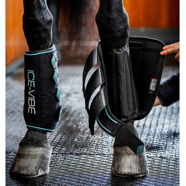 Guêtres Horseware Ice-Vibe Noir / aqua Bleu