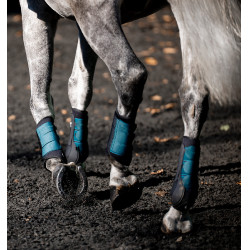 Guêtres d’équitation dressage Horseware Classic | EQUI-CLIC Guêtres d’équitation dressage Horseware Classic | EQUI-CLIC