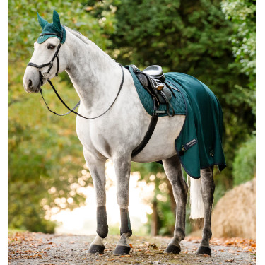 Guêtres d’équitation dressage Horseware Classic | EQUI-CLIC Guêtres d’équitation dressage Horseware Classic | EQUI-CLIC
