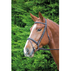 Bridon Cheval Comfort Fit Aviemore Shires Bridon Cheval Comfort Fit Aviemore Shires