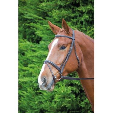 Bridon Cheval Comfort Fit Aviemore Shires Bridon Cheval Comfort Fit Aviemore Shires