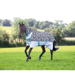 Couverture combo anti-mouches Tempest Original Zebra Shires Zèbre Motifs Couverture combo anti-mouches Tempest Original Zebra Shires Zèbre Motifs