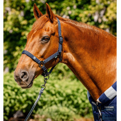 Licol et longe Horseware Newmarket Marine witney Bleu marine