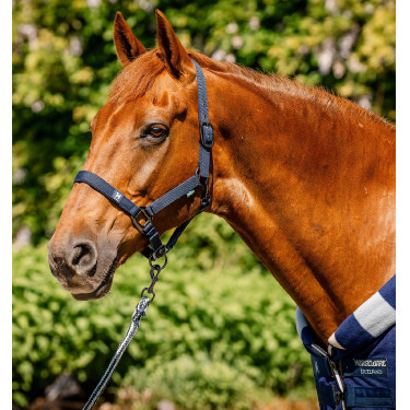 Licol et longe Horseware Newmarket Marine witney Bleu marine