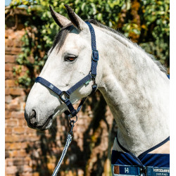 Licol et longe Horseware Newmarket Marine witney Bleu marine