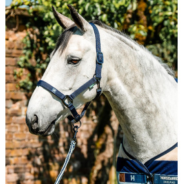Licol et longe Horseware Newmarket Marine witney Bleu marine