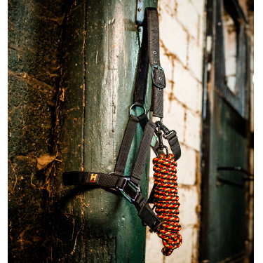 Licol et longe Horseware Newmarket Or blanc Licol et longe Horseware Newmarket Or blanc