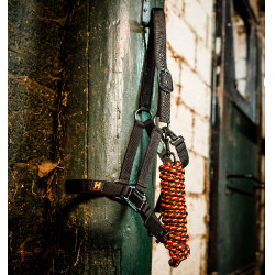 Licol et longe Horseware Newmarket Or blanc Licol et longe Horseware Newmarket Or blanc