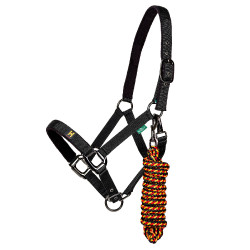 Licol et longe Horseware Newmarket Or blanc Licol et longe Horseware Newmarket Or blanc