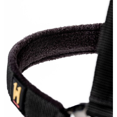 Licol et longe Horseware Newmarket Or blanc Licol et longe Horseware Newmarket Or blanc