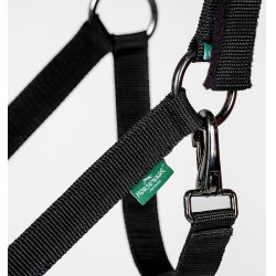 Licol et longe Horseware Newmarket Or blanc Licol et longe Horseware Newmarket Or blanc