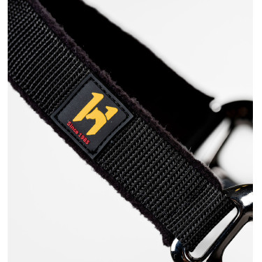 Licol et longe Horseware Newmarket Or blanc Licol et longe Horseware Newmarket Or blanc