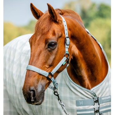 Licol d'équitation avec longe Horseware Newmarket