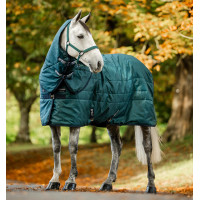 Couvre-cou d'écurie Horseware Amigo Ripstop Insulator 200g Vert dynastie / marine / argent Couvre-cou d'écurie Horseware Amigo Ripstop Insulator 200g Vert dynastie / marine / argent