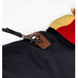 Couverture d'équitation pour chien Horseware