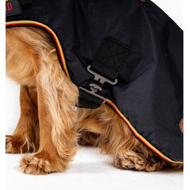 Couverture d'équitation pour chien Horseware