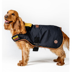 Couverture d'équitation pour chien Horseware