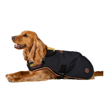 Couverture d'équitation pour chien Horseware