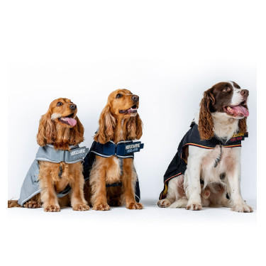 Couverture d'équitation pour chien Horseware