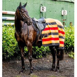 Couverture polaire équitation Horseware pour cheval Couverture polaire équitation Horseware pour cheval