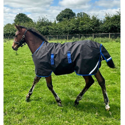 Couverture Horseware Amigo Ripstop 900D Poulain Turnout 50g Noir / bleu classique Couverture Horseware Amigo Ripstop 900D Poulain Turnout 50g Noir / bleu classique