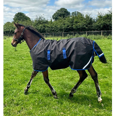 Couverture d'extérieur 200g pour poulain - Horseware