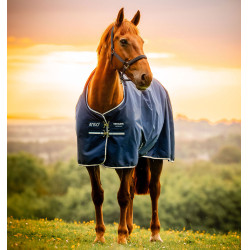 Couverture Horseware Amigo Ripstop 900D Poney Turnout 0g Marine witney Bleu marine Couverture Horseware Amigo Ripstop 900D Poney Turnout 0g Marine witney Bleu marine