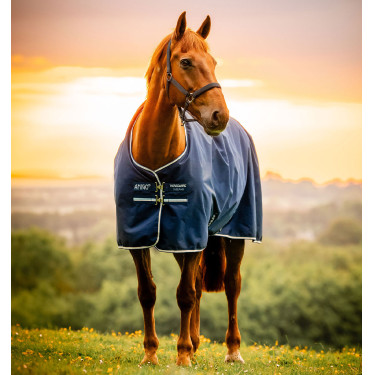 Couverture Horseware Amigo Ripstop 900D Poney Turnout 0g Marine witney Bleu marine Couverture Horseware Amigo Ripstop 900D Poney Turnout 0g Marine witney Bleu marine