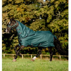 Couverture Horseware Amigo Ripstop 900D Plus Poney Turnout 50g Vert dynastie / marine / argent Couverture Horseware Amigo Ripstop 900D Plus Poney Turnout 50g Vert dynastie / marine / argent