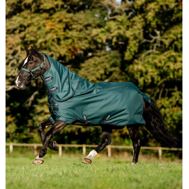 Couverture Horseware Amigo Ripstop 900D Plus Poney Turnout 50g Vert dynastie / marine / argent Couverture Horseware Amigo Ripstop 900D Plus Poney Turnout 50g Vert dynastie / marine / argent