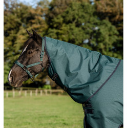 Couverture Horseware Amigo Ripstop 900D Plus Poney Turnout 0g Vert dynastie / marine / argent Couverture Horseware Amigo Ripstop 900D Plus Poney Turnout 0g Vert dynastie / marine / argent