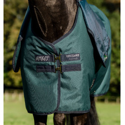 Couverture Horseware Amigo Ripstop 900D Plus Poney Turnout 0g Vert dynastie / marine / argent Couverture Horseware Amigo Ripstop 900D Plus Poney Turnout 0g Vert dynastie / marine / argent