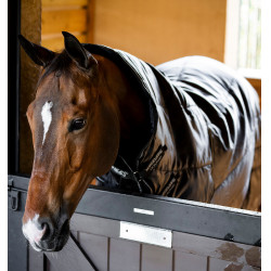 Couverture d'écurie chaude pour cheval 200g Horseware Couverture d'écurie chaude pour cheval 200g Horseware