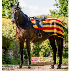 Bonnet anti-mouches Horseware Newmarket OrBlanc Noir