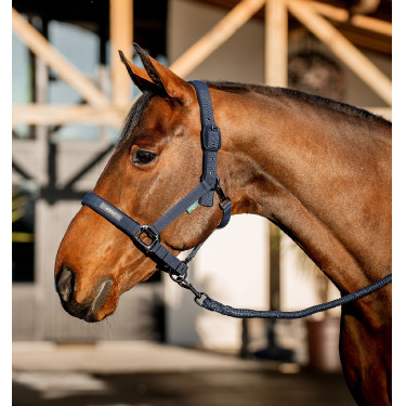 Licol + longe d’équitation Amigo Horseware | Confort