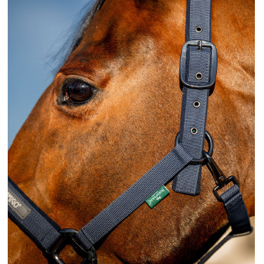 Licol + longe d’équitation Amigo Horseware | Confort