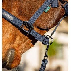Licol + longe d’équitation Amigo Horseware | Confort