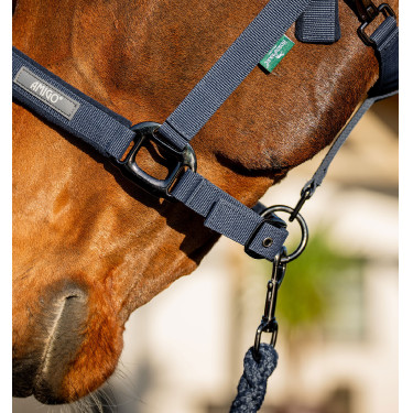 Licol + longe d’équitation Amigo Horseware | Confort