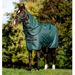 Couverture Amigo Ripstop Horseware 900D Plus Turnout 200g Vert dynastie / marine / argent