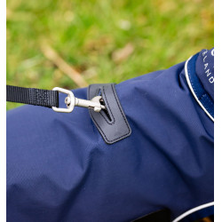 Imperméable pour chien - Protégez votre compagnon Imperméable pour chien - Protégez votre compagnon