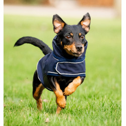 Imperméable pour chien - Protégez votre compagnon Imperméable pour chien - Protégez votre compagnon