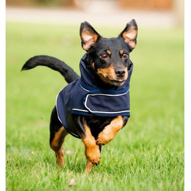 Imperméable pour chien - Protégez votre compagnon Imperméable pour chien - Protégez votre compagnon