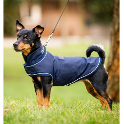 Imperméable pour chien - Protégez votre compagnon Imperméable pour chien - Protégez votre compagnon