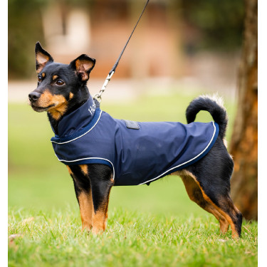 Imperméable pour chien - Protégez votre compagnon Imperméable pour chien - Protégez votre compagnon