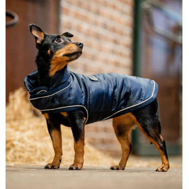 Couverture d'hiver pour chien Horseware 200g