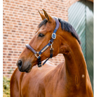 Licol Horseware de concours Signature Marron / marine