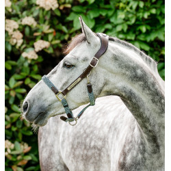 Licol d'équitation tressé Horseware Signature Licol d'équitation tressé Horseware Signature